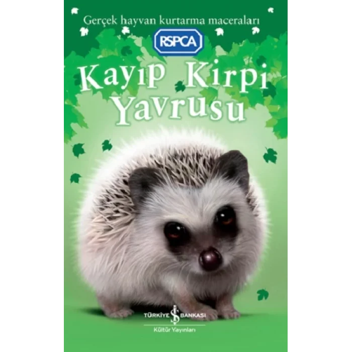 Kayıp Kirpi Yavrusu