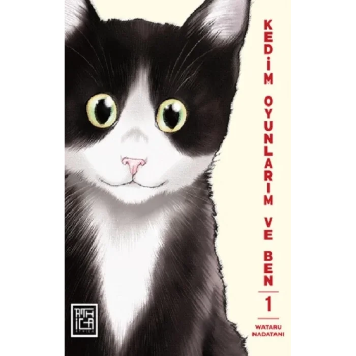 Kedim Oyunlarım ve Ben 1