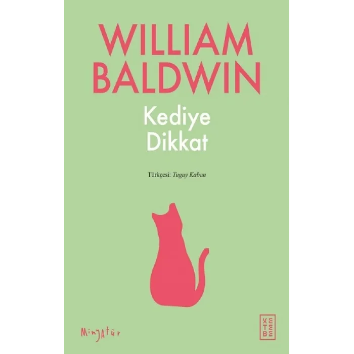 Kediye Dikkat