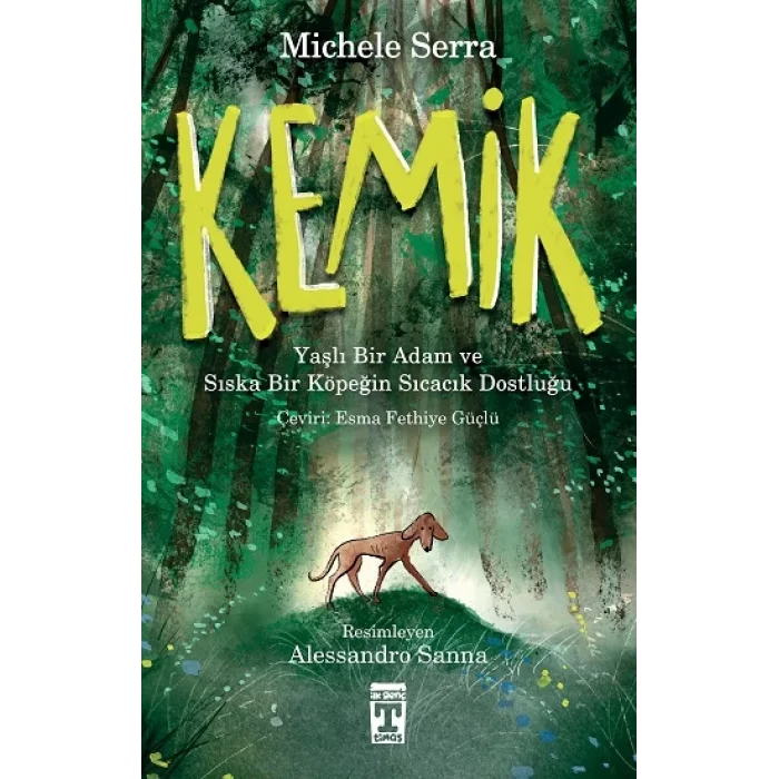 Kemik
