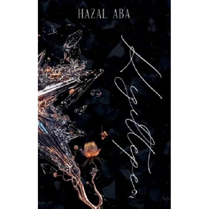 Kızıltepe-2 Mahalle serisi (Ciltli)