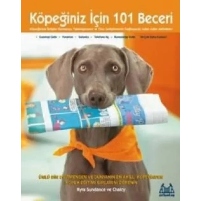 Köpeğiniz İçin 101 Beceri