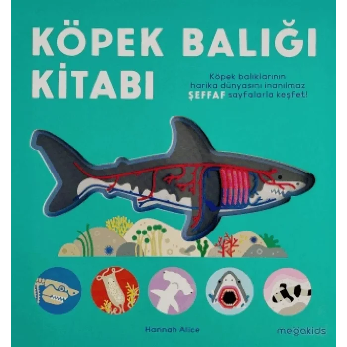 Köpek Balığı Kitabı (Ciltli)