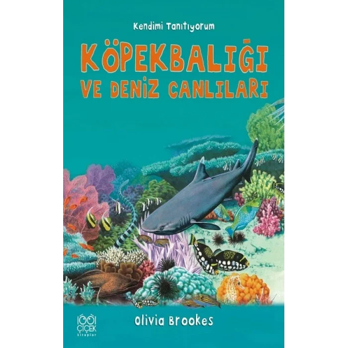 Köpekbalığı ve Deniz Canlıları - Kendimi Tanıtıyorum