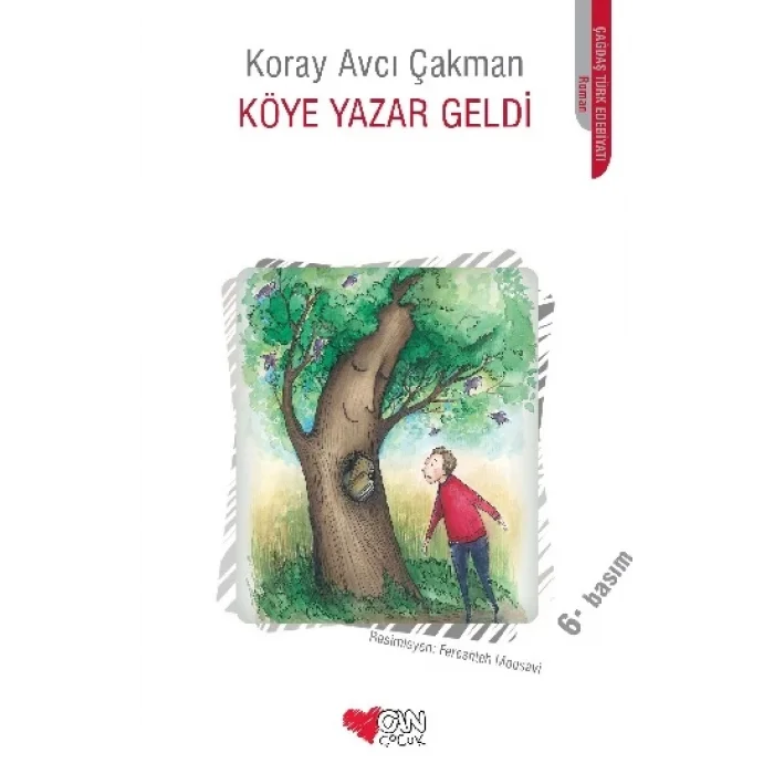 Köye Yazar Geldi