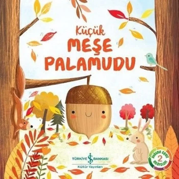 Küçük Meşe Palamudu