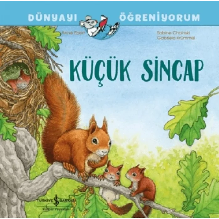 Küçük Sincap Dünyayı Öğreniyorum
