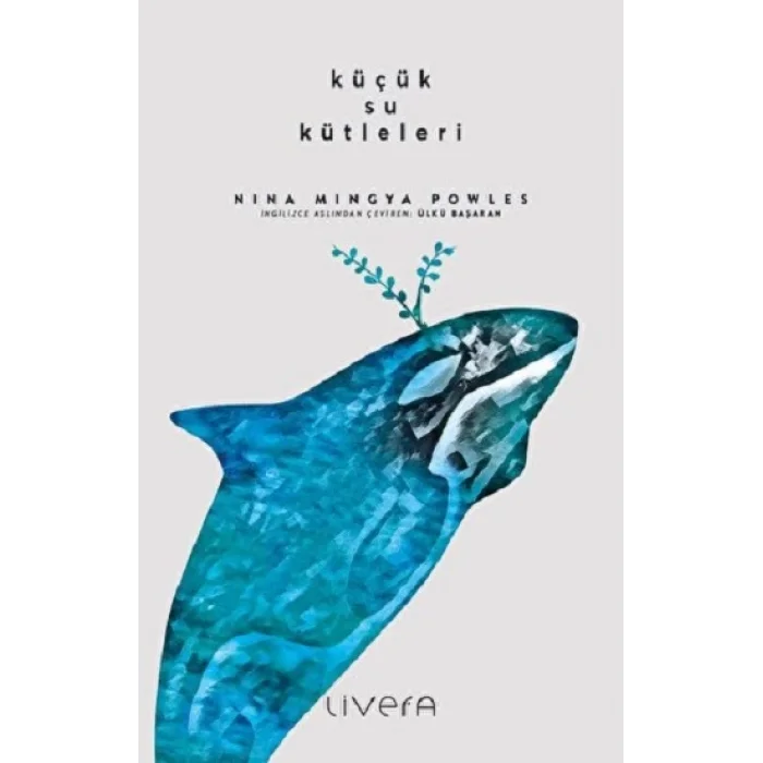 Küçük Su Kütleleri