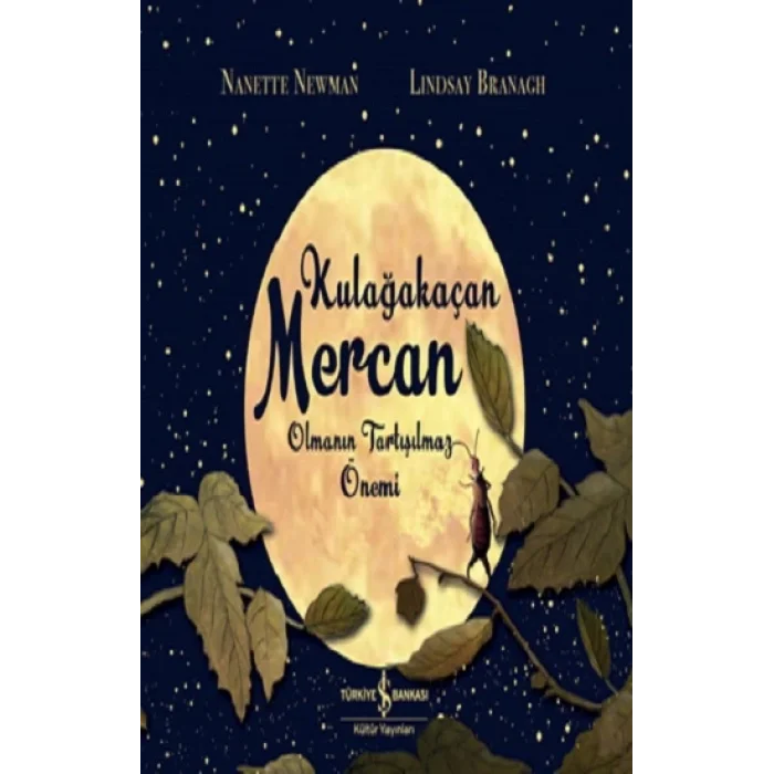 Kulağakaçan Mercan Olmanın Tartışılmaz Önemi