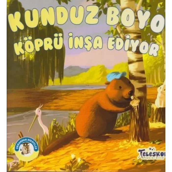 Kunduz Boyo Köprü İnşa Ediyor - Ormandan Hikayeler