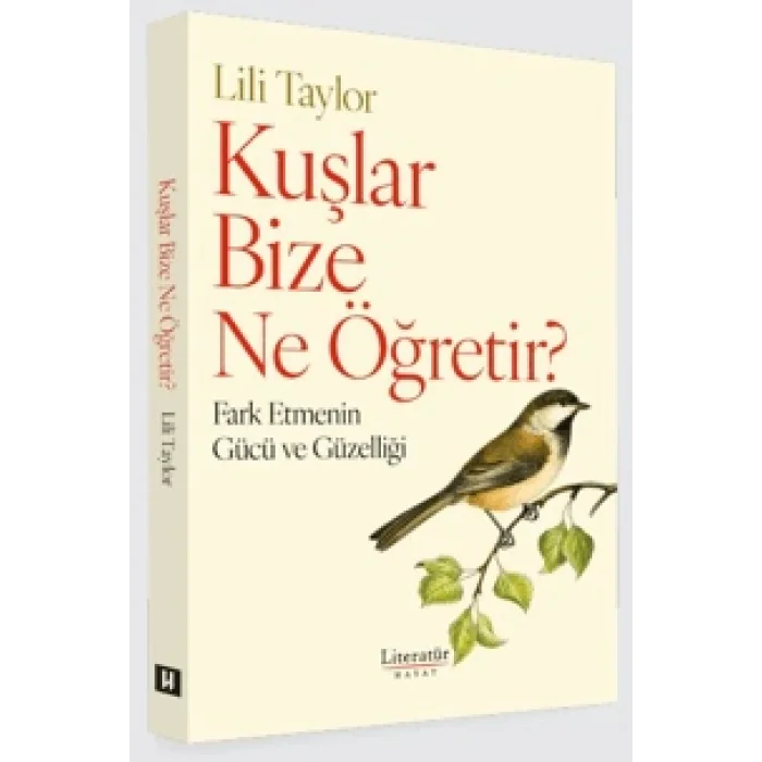 Kuşlar Bize Ne Öğretir?;Fark Etmenin Gücü ve Güzelliği
