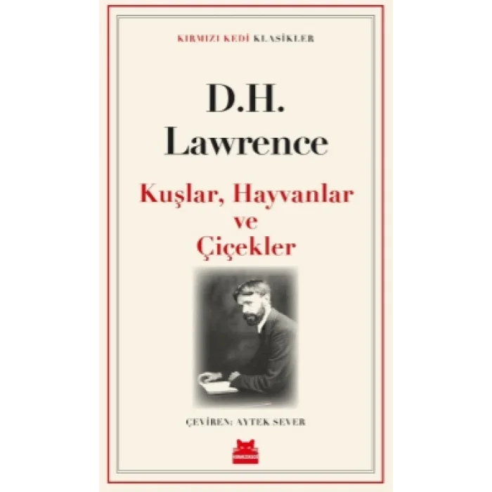 Kuşlar, Hayvanlar, Çiçekler