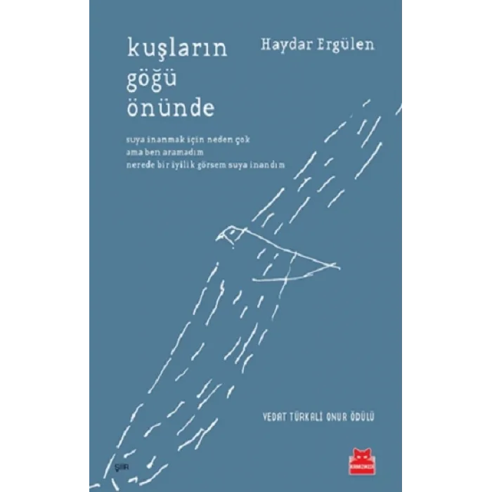 Kuşların Göğü Önünde