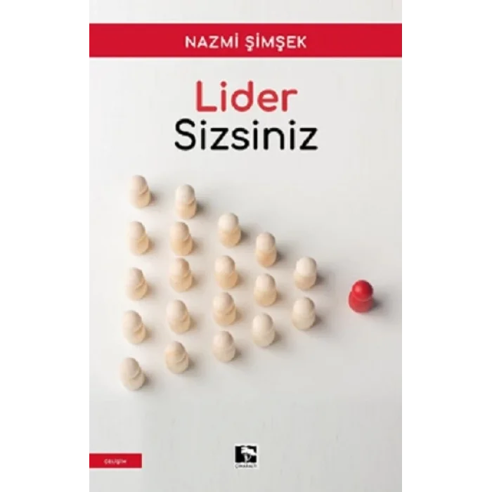 Lider Sizsiniz