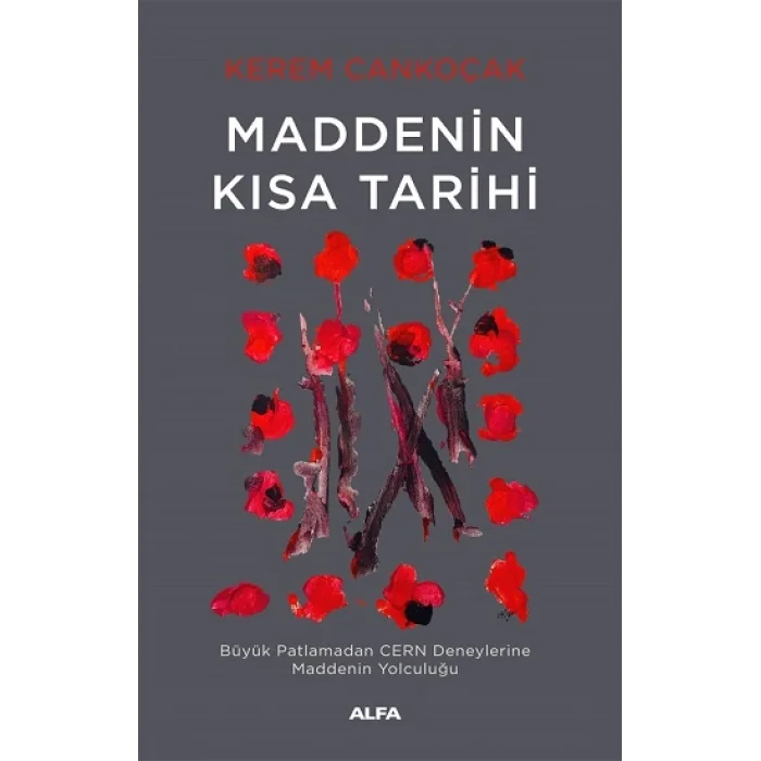 Maddenin  Kısa Tarihi