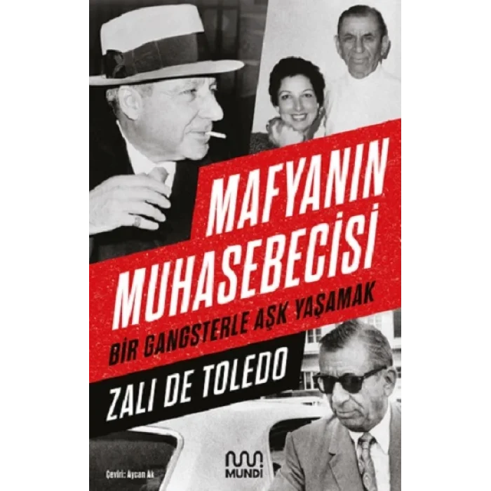 Mafyanın Muhasebecisi