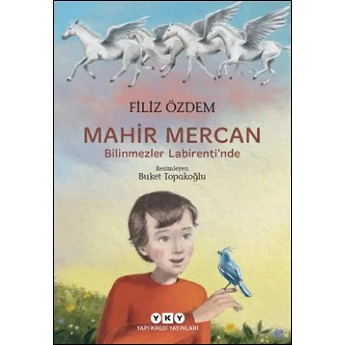 Mahir Mercan - Bilinmezler Labirentinde