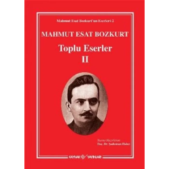 Mahmut Esat Bozkurt - Toplu Eserler 2