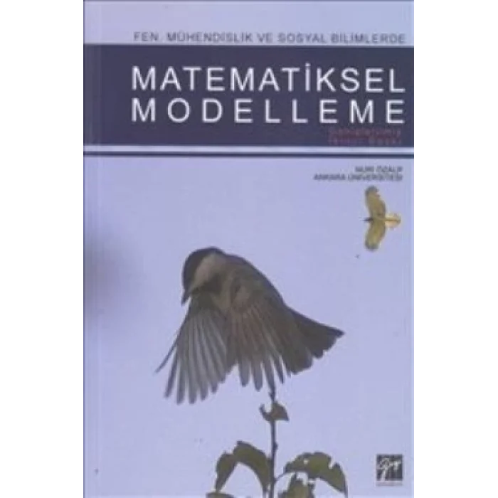 Matematiksel Modelleme