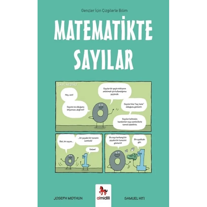 Matematikte Sayılar – Gençler İçin Çizgilerle Bilim