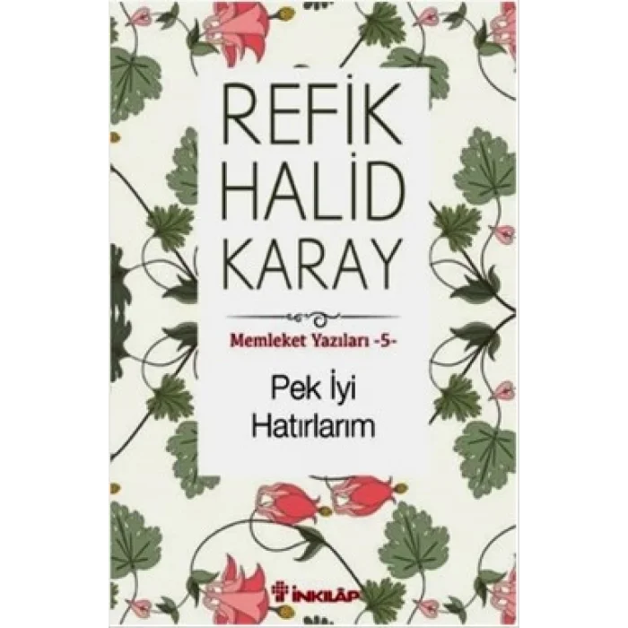 Memleket Yazıları - 5 Pek İyi Hatırlarım