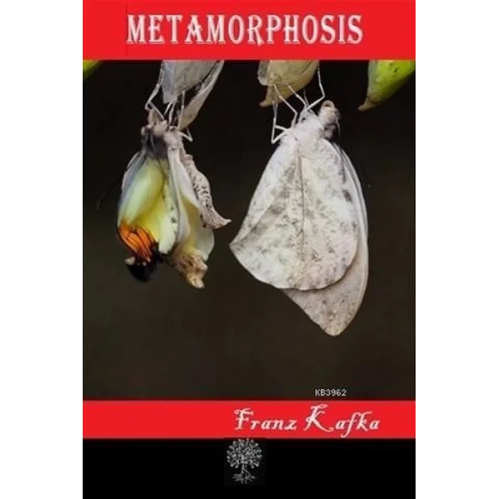 Metamorphosis