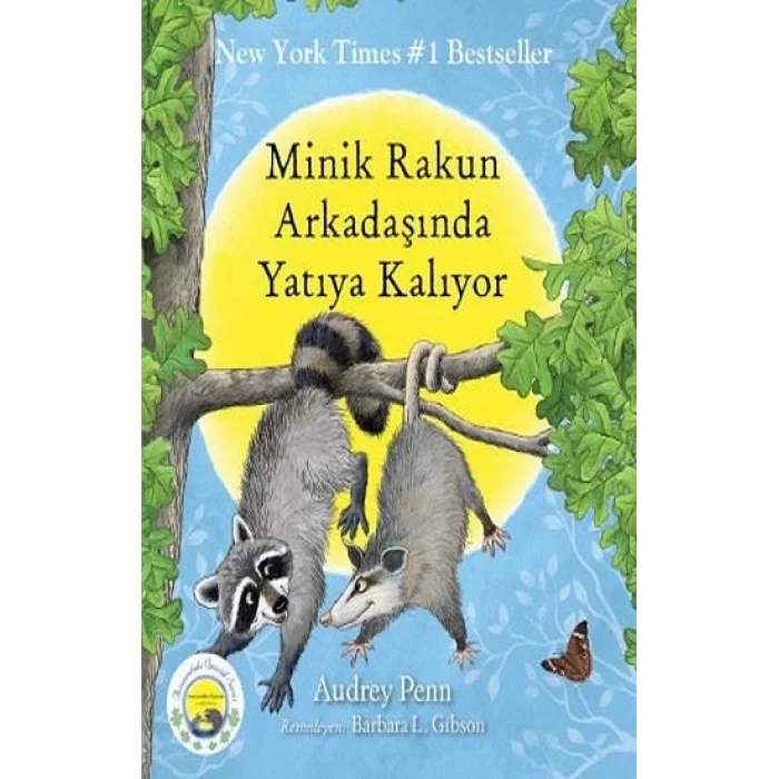 Minik Rakun Arkadaşında Yatıya Kalıyor