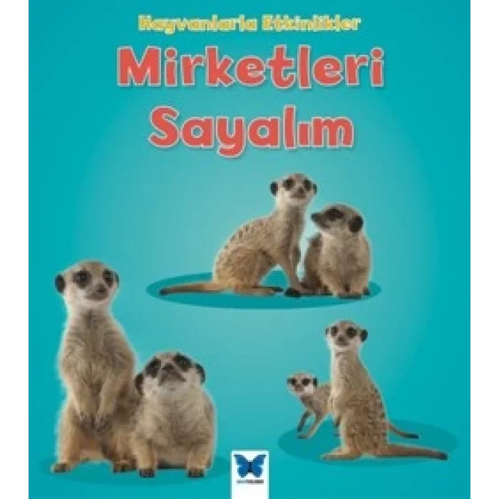 Mirketleri Sayalım