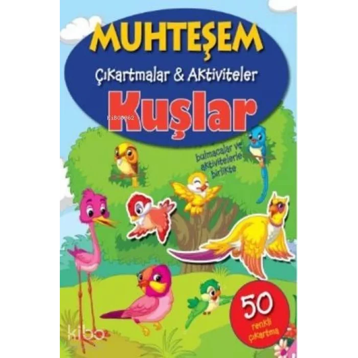 Muhteşem Çıkartmalar Aktiviteler Kuşlar