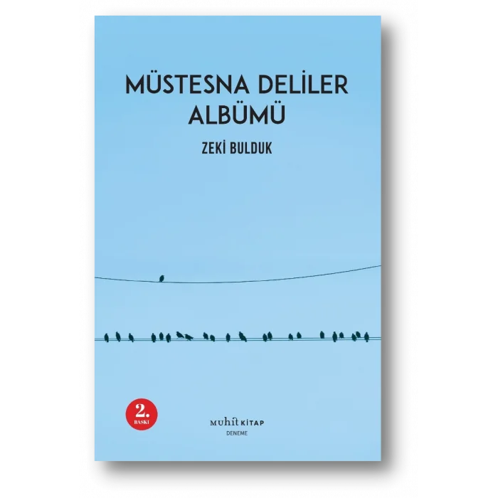 Müstesna Deliler Albümü