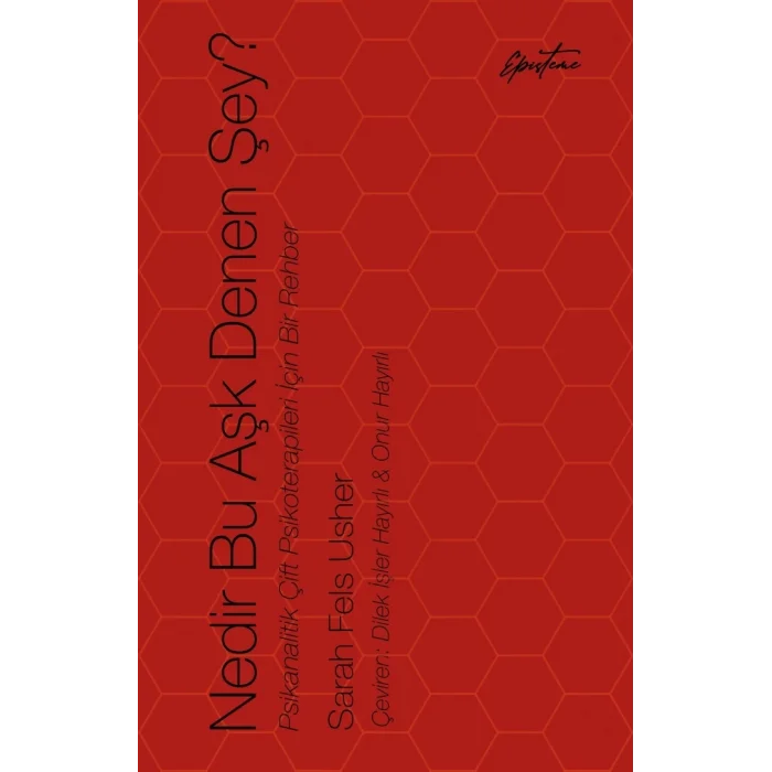 Nedir Bu Aşk Denen Şey?