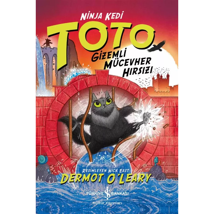 Ninja Kedi Toto – Gizemli Mücevher Hırsızı