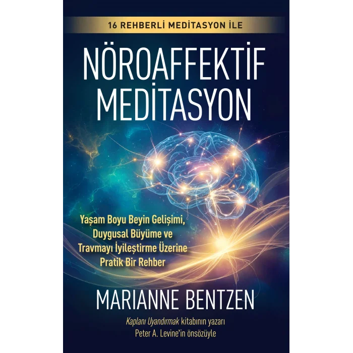 Nöroaffektif Meditasyon