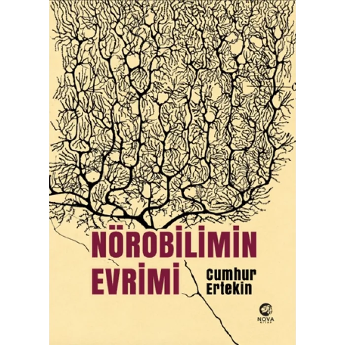 Nörobilimin Evrimi