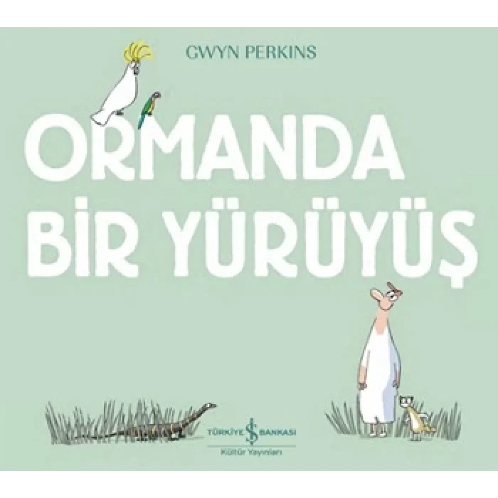 Ormanda Bir Yürüyüş