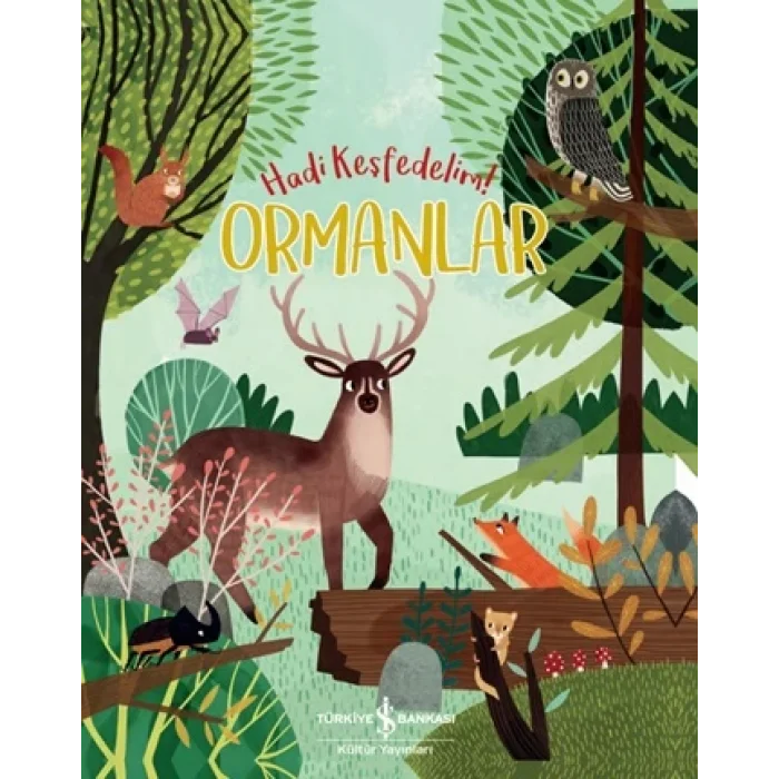 Ormanlar-Hadi Keşfedelim!