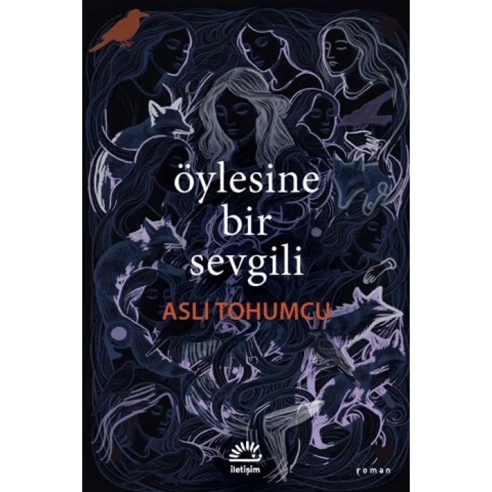 Öylesine Bir Sevgili