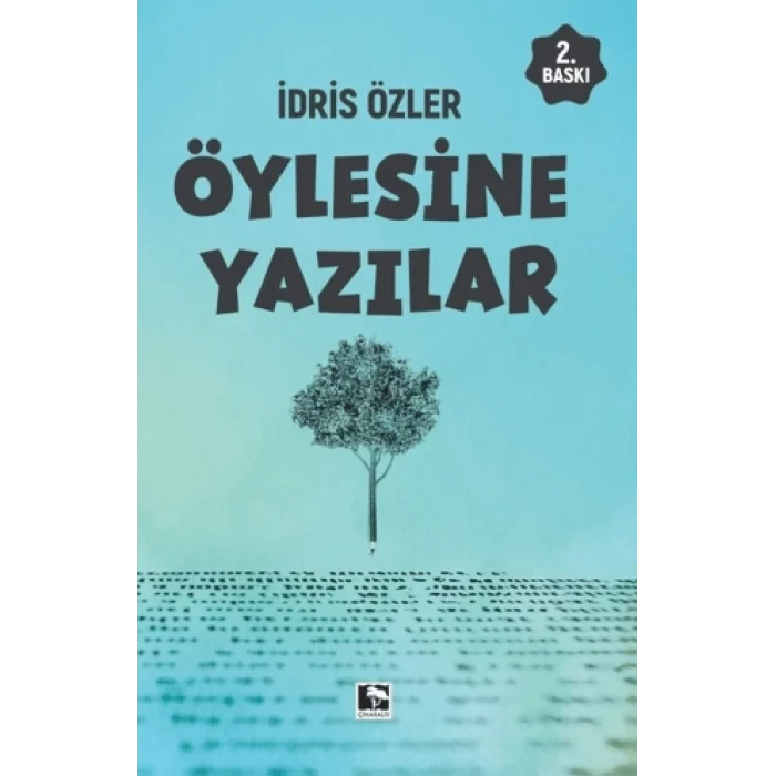 Öylesine Yazılar