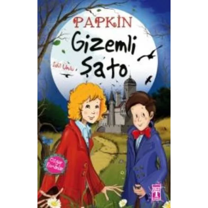 Papkin Gizemli Şato