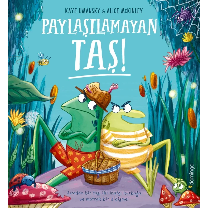 Paylaşılamayan Taş