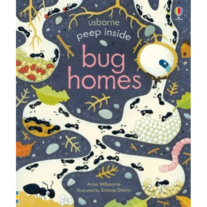 Peep Inside Bug Homes