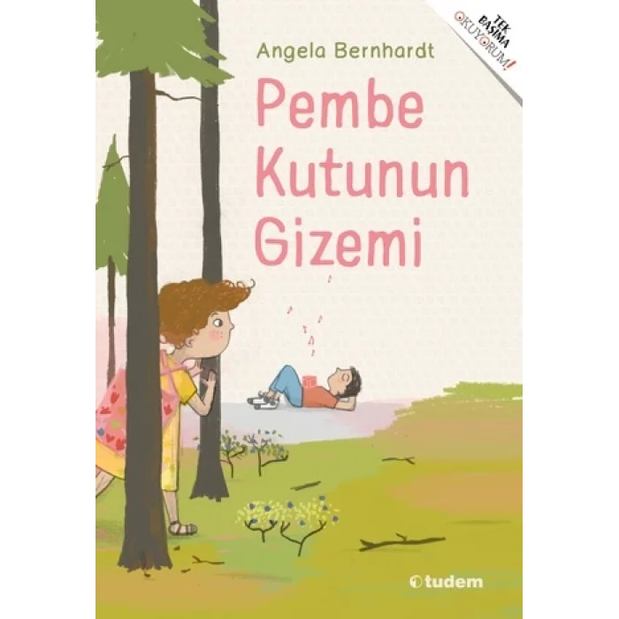 Pembe Kutunun Gizemi