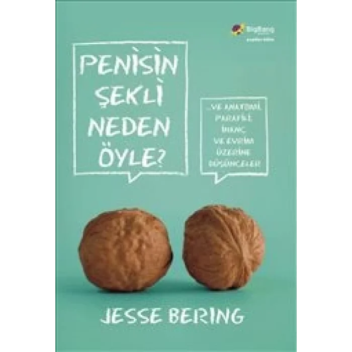 Penisin Şekli Neden Öyle?