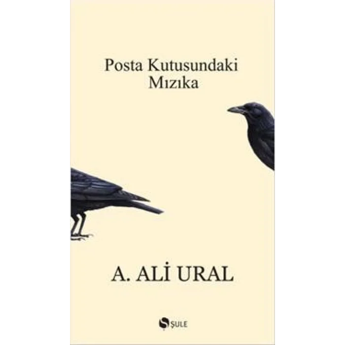 Posta Kutusundaki Mızıka