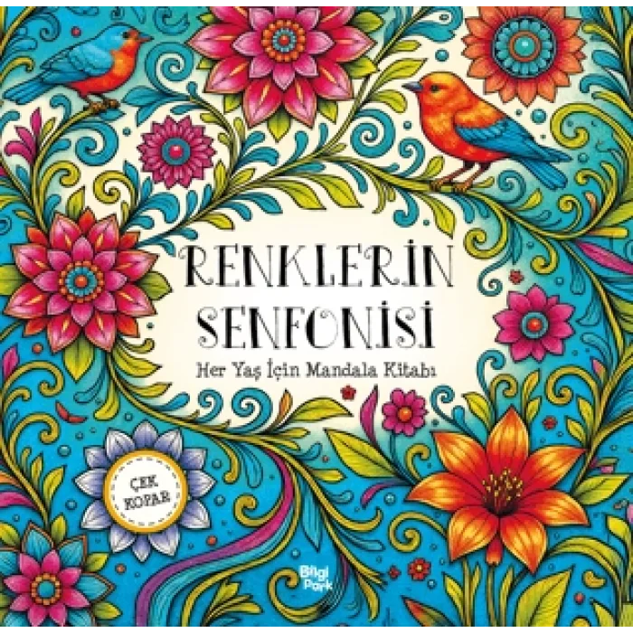 Renklerin Senfonisi - Her Yaş için Mandala