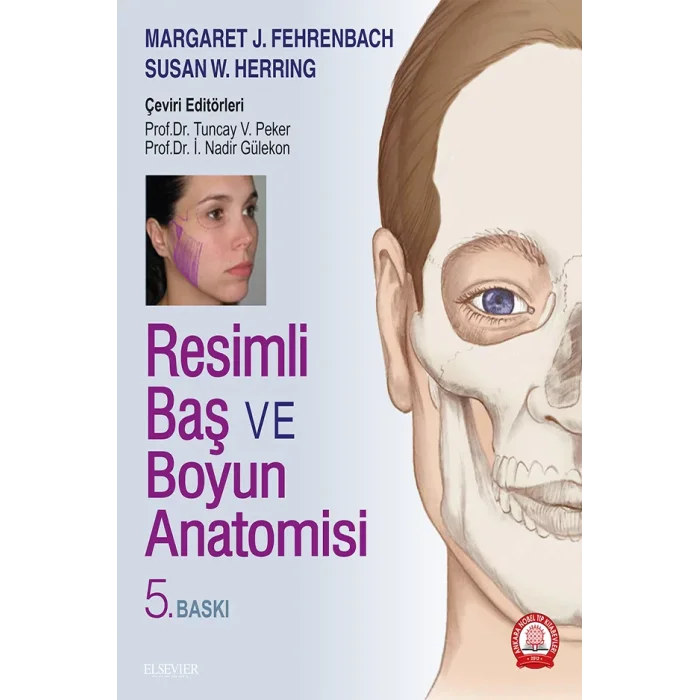 Resimli Baş ve Boyun Anatomisi