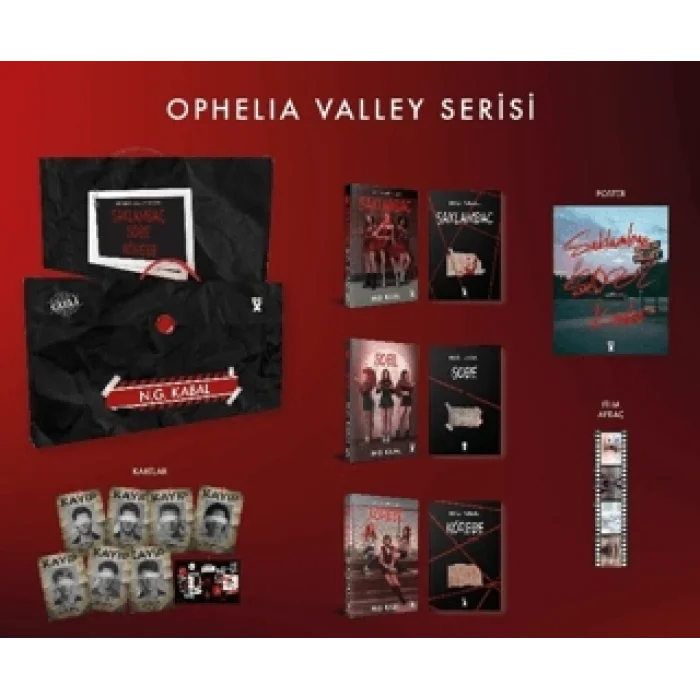 Saklambaç Serisi Kutulu Set (Ciltli)