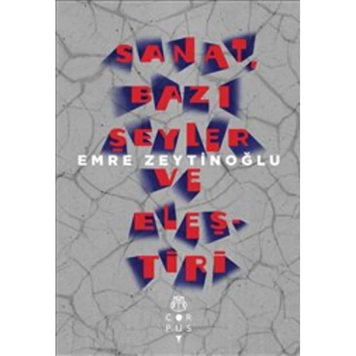 Sanat Bazı Şeyler ve Eleştiri