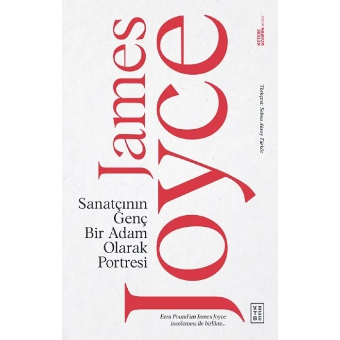 Sanatçının Genç Bir Adam Olarak Portresi