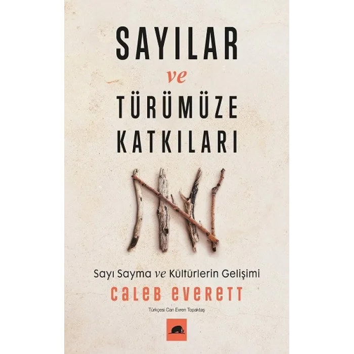 Sayılar ve Türümüze Katkıları